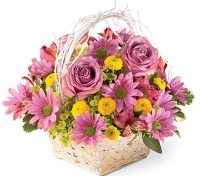 Nature's Bounty Basket Davis Floral Clayton Indiana from Davis Floral